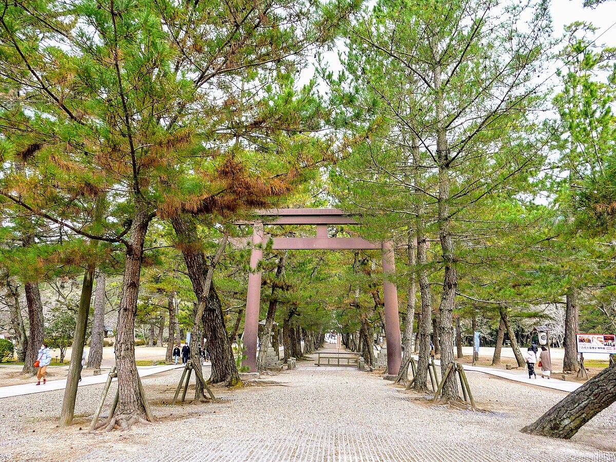 出雲大社 松の参道